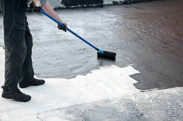 Best Driveways & Floors  in Corrales, NM